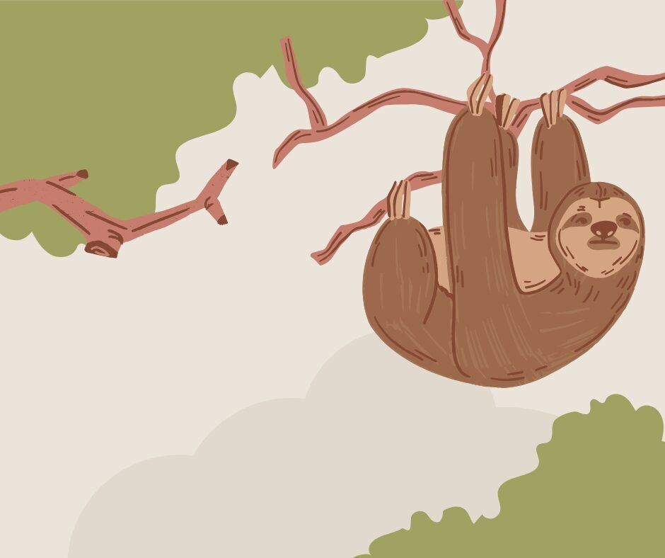 AI.Type - Công cụ hỗ trợ viết bài và tạo content miễn phí